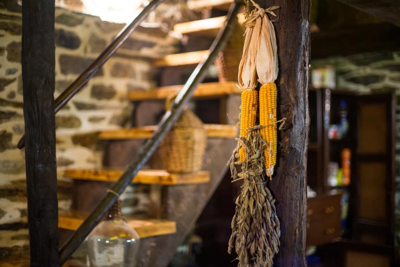 コラシン Djurdjevina Family Farmヴィラ エクステリア 写真