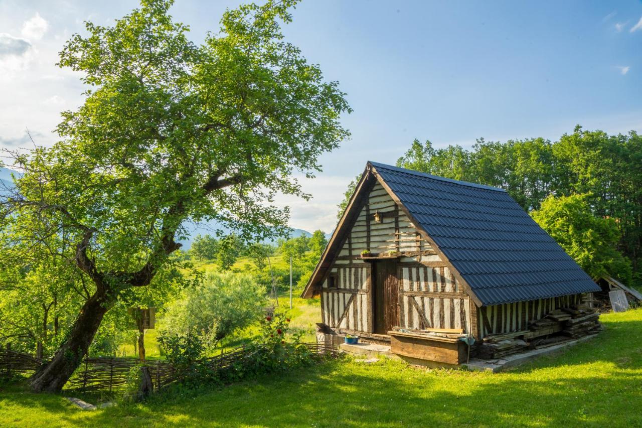 コラシン Djurdjevina Family Farmヴィラ エクステリア 写真