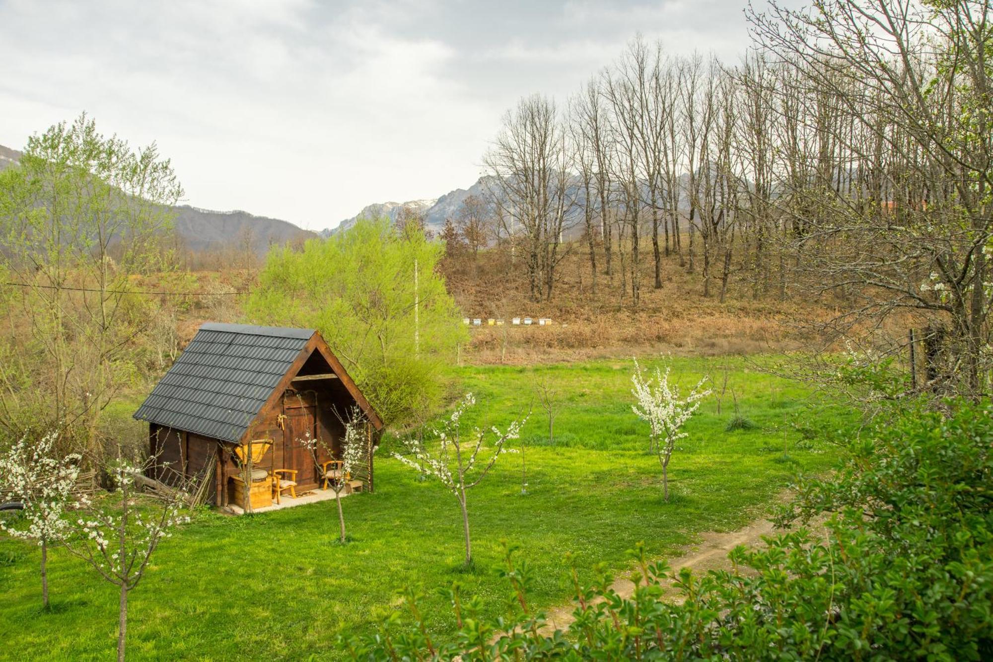 コラシン Djurdjevina Family Farmヴィラ 部屋 写真