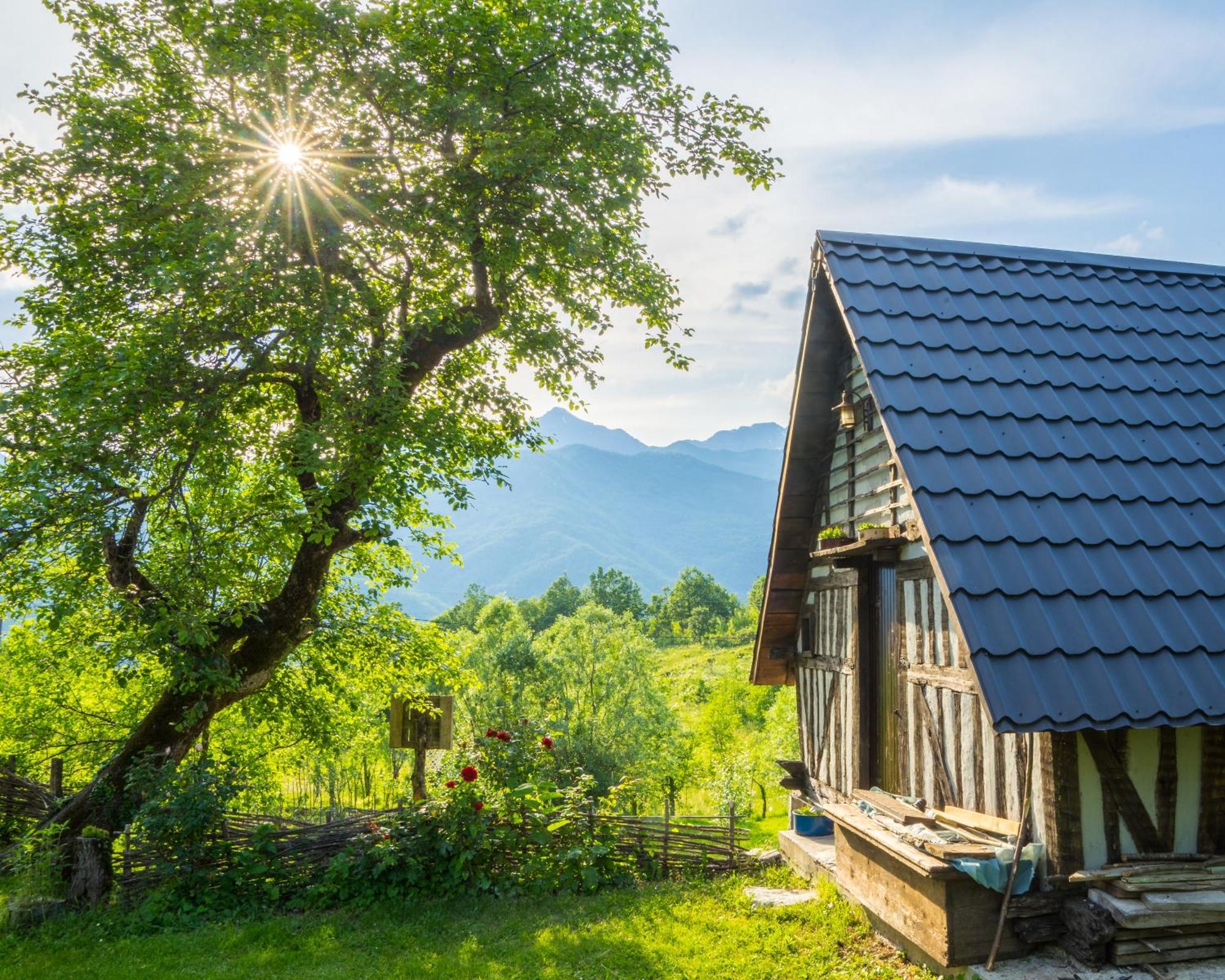 コラシン Djurdjevina Family Farmヴィラ 部屋 写真